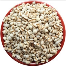 中药材批发供应优质福建浦城小薏米仁苡仁米小薏米小薏仁米