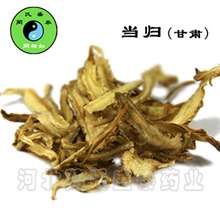安国GSP企业常年供应批发当归、全归甘肃优质中药材、中药饮片