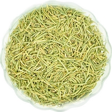 批发供应德国进口迷迭香花茶/增强免疫力改善睡眠