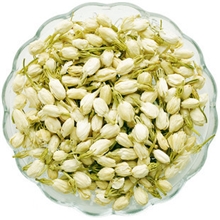 批发供应新茶特级茉莉花蕾/茉莉花茶清热去火（量大从优）