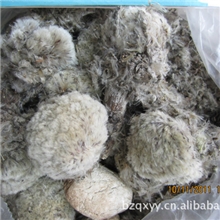 批发供应中药材雪莲花