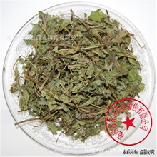 批发供应中药材花草茶薄荷叶
