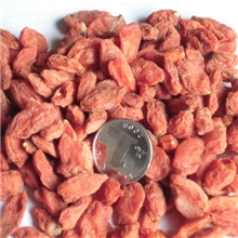 枸杞，杞果，大个，味甜，专业中药材批发