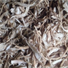 l大量供应优质的当归归尖中药材