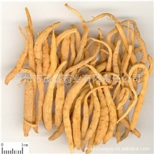 长期供应2013年新货植物原药材太子参批发无硫磺