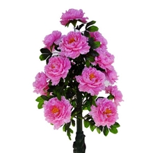 牡丹假花盆景树高档仿真植物盆栽1.4米厂家批发小额批发不带花盆