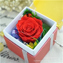 2013保鲜花新品外贸出口礼品音乐盒独家上市火爆抢先批发预订
