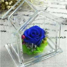 2013保鲜花新品发布时光之屋纯手工制作抢先批发预订