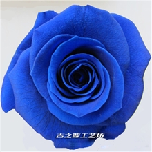 保鲜花批发保鲜花花头批发永生花批发保鲜玫瑰花头3-4com价格