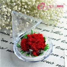 2013新品钻石保鲜花康乃馨教师节送老师礼物母亲节送妈妈