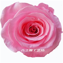 保鲜花批发保鲜花花头批发永生花批发保鲜玫瑰花头4-5com价格