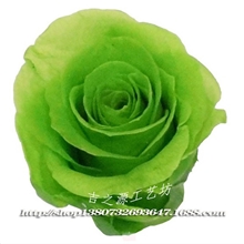 供应昆明保鲜花玫瑰花批发永生花玫瑰花批发保鲜玫瑰花5-6cm批发