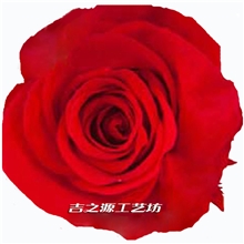 保鲜花批发保鲜花花头批发永生花批发保鲜玫瑰花头2-3com价格