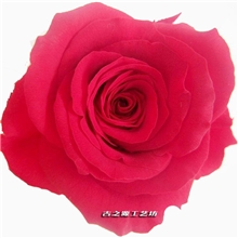 大量供应云南优质保鲜花材玫瑰花头3-4批发永生玫瑰花保鲜玫瑰花