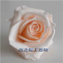 供应云南保鲜花批发云南保鲜玫瑰花花头3-4批发保鲜花花艺制品