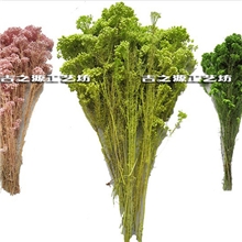 供应优质保鲜花花材米花吉之源工艺坊保鲜花永生花米花直销批发