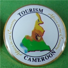 贴纸滴胶徽章金属徽章烤漆徽章定做徽章胸针胸章