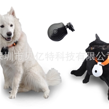 厂家批发宠物自动拍照数码相机家庭防盗监控摄像机时尚户外DV