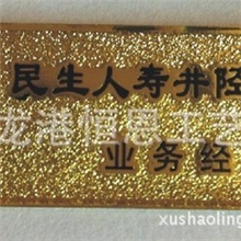 专业定制民生人寿胸牌、金属胸牌、金属工号牌、滴塑胸牌、