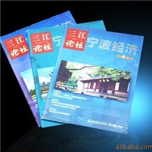 杂志编排设计,政府企事业单位刊物