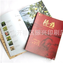 厂家专业生产彩色印刷海报宣传册