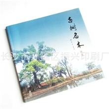 振兴印刷大量供应彩色印刷&mdash;&mdash;宣传品、画册