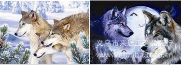 高清立体画批发，可混批，三维画，3D光栅画，变图立体画，狼