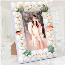 爆款海螺贝壳相框时尚家居海螺海洋相框批发ba-0047寸