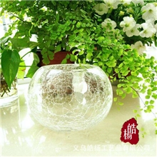 【皓杨】碎冰花金鱼缸水培玻璃花瓶透明水培玻璃花瓶（小号）