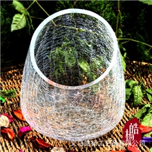 【皓杨】斜口碎冰花金鱼缸水培玻璃花瓶/透明冰裂纹花器（大号）