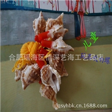 长期供应海螺吹响螺号儿童们的热爱玩具厂家独家供应海螺螺号