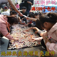 地摊热卖创业小商品批发海螺货源手机挂件热销新产品创意贝壳