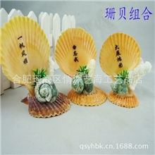 厂家一手供应小商品批发贝壳珊瑚组合创业产品景区热卖地摊货源