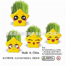 生产厂家供应幸运五星草娃娃空间表情笑脸桌面舒压青草种植