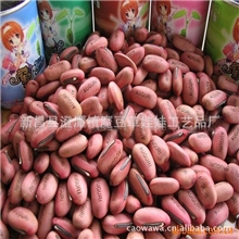 新魔豆可激光刻字种子红豆工艺品礼品