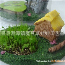 最新款DIY小屋最新款--爱的小屋，盆栽产品