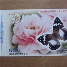 世界名蝶类企业金卡蝴蝶2000闽（BK)-0370共29枚描述品相见图