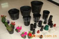 花卉种子营养钵