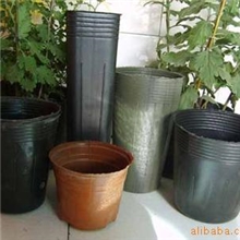 供应超拉力黑色营养钵规格13*12原料优质PE