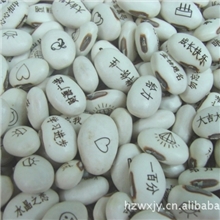 供应爱情魔豆神奇魔豆种子优质白豆种子