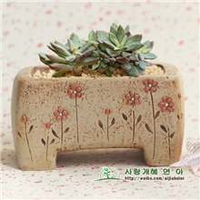 爱家惠儿多肉花盆韩国花盆手工陶瓷花盆二木同款特价预定中