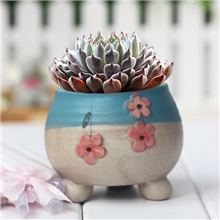 爱家惠儿韩式花盆多肉花盆手工陶瓷花盆手绘浮雕