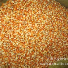 【农户直销、可全国送货】长期批发供应德宏二级玉米