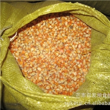 【农户直销、可全国送货】长期批发供应云南产三级玉米