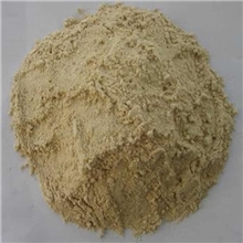 大量供应谷朊粉（面筋专用粉）