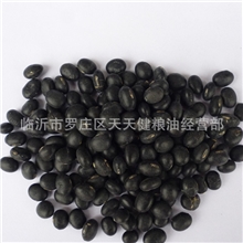 大量供应黑豆