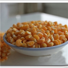 混批供应脱皮玉米玉米粒玉米渣玉米片