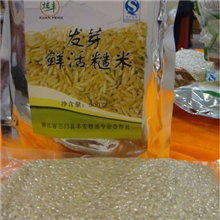 厂价直批发芽糙米发芽胚芽糙米降&ldquo;三高&rdquo;保健主食品发芽糙米