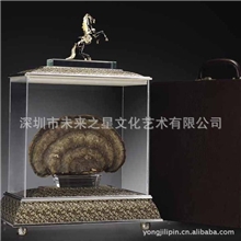 灵芝养生礼品企业馈赠节日送礼高档豪华摆件公司会议庆典贵重礼品
