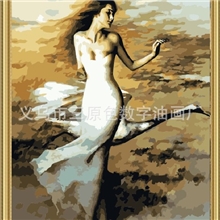 三原色/梦蕾diy手绘数字油画厂家-直销加盟装饰画40*50天鹅舞者